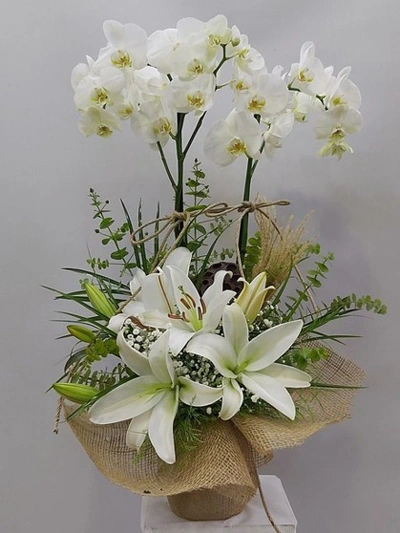 Çift Dallı Beyaz Orkide - Lilyum Aranjmanlı